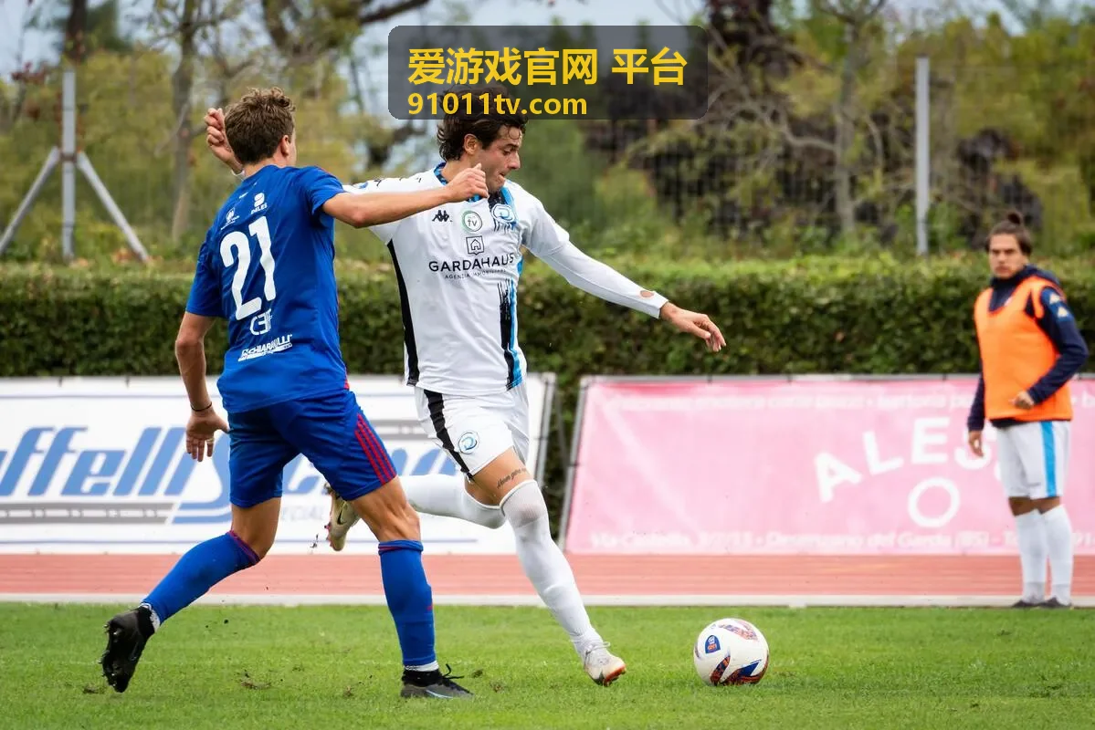 爱游戏官网 平台服务说明总览大图