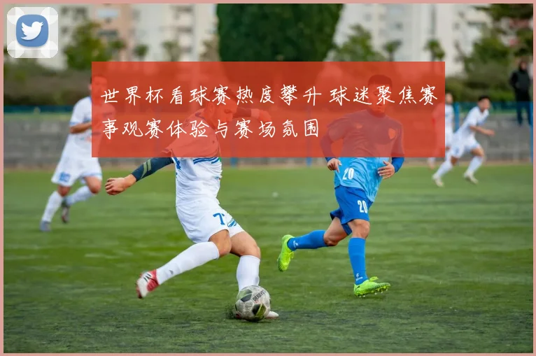 世界杯看球赛热度攀升 球迷聚焦赛事观赛体验与赛场氛围