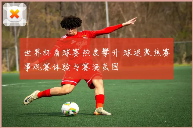 世界杯看球赛热度攀升 球迷聚焦赛事观赛体验与赛场氛围