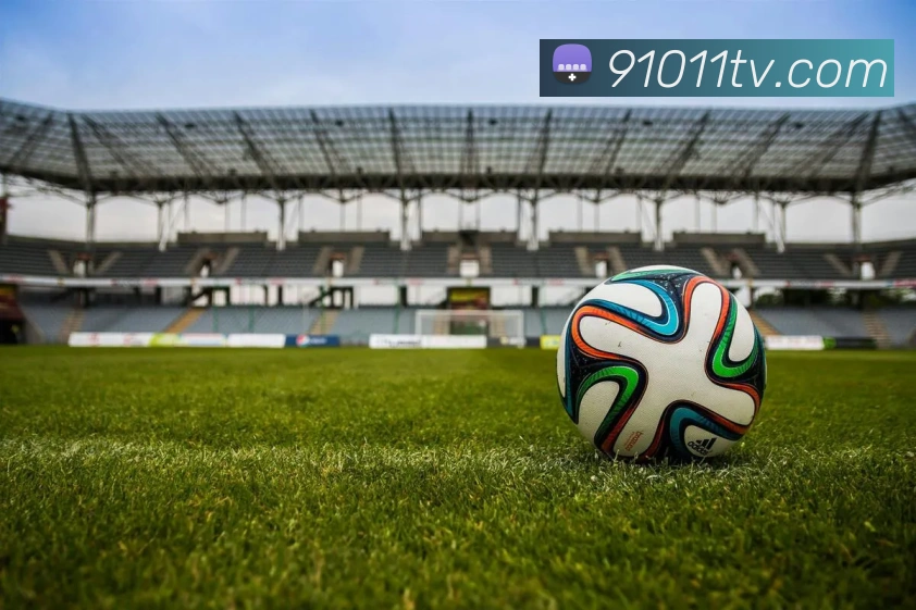 2018世界杯官网平台生态图